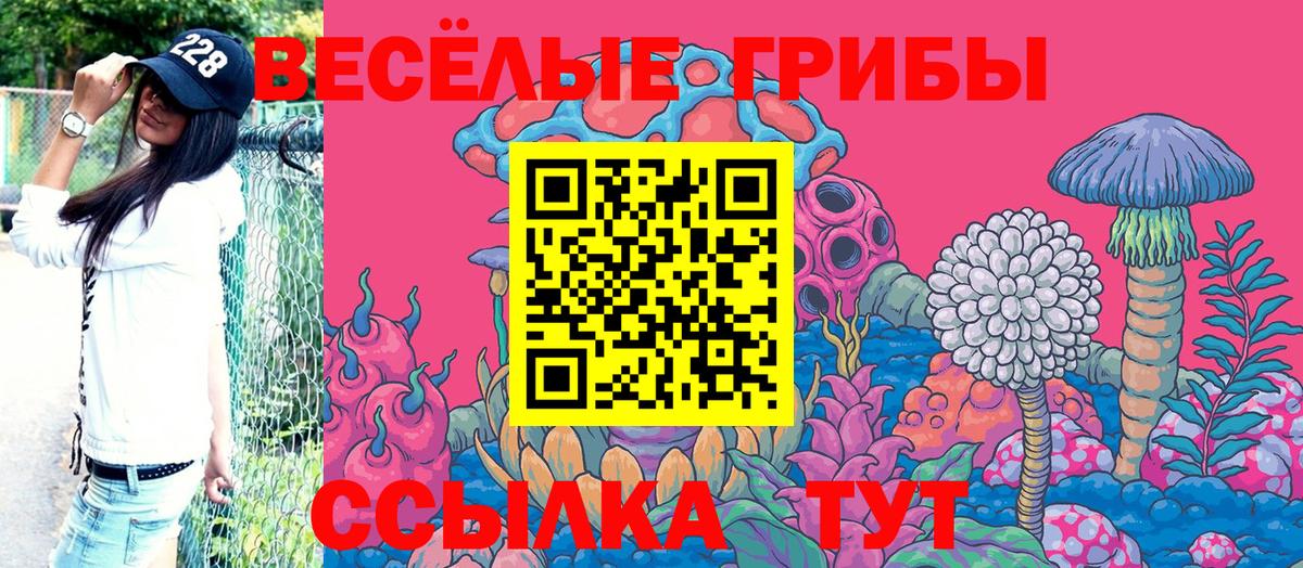 Псилоцибиновые грибы прущие грибы Армавир