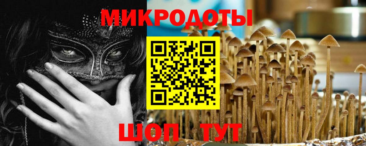 Псилоцибиновые грибы Cubensis  Вход с VPN  Армавир 